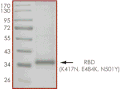 Product Element Image